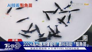 加速作業+提高精準度! 靠「AI視覺辨識」點魚苗 ｜十點不一樣20240212 @TVBSNEWS01