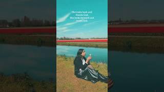 Dekha Ek Khwaab Song Location  Amsterdam Tulip Garden | Bollywood Dream Spot in Europe! #travel