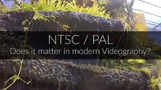 Video Test: Shooting NTSC in a PAL Country