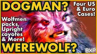 Dogman, Werewolf & Upright Canine Encounters - US & European Reports - Phantoms & Monsters Radio