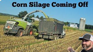 Truck Down- Into Trucking Silage Corn