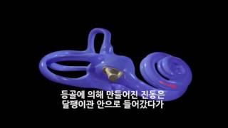 소리 여행(Auditory transaction)_한글자막 by 나눔보청기