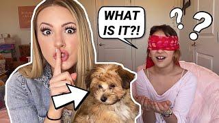 Surprising Kalli with a PUPPY?!  *MUST SEE*