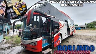 ADA YANG LEBIH CEPAT DARI BUS INI ???||TRIP REPORT BUS BORLINDO(PALU-MAKASSAR)