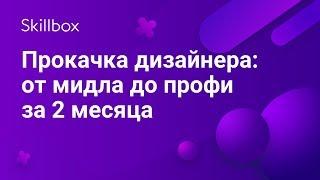 Развитие веб-дизайнера: от новичка до профи