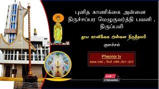 நேரலை 8-ஆம் திருவிழா திருப்பலி, திருச்சப்பர மெழுகுவர்த்தி பவனி, குளச்சல் 02/02/2024