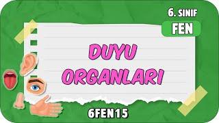 Duyu Organları  tonguçCUP 4.Sezon - 6FEN15 #2024