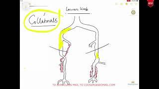 CCC Vascular Clinics - Claudication - Ramanuj Mukherjee & Shubhabrata Banerjee