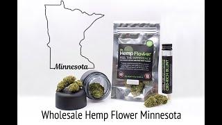 Wholesale Hemp Flower Minnesota - Buy Bulk Hemp Here