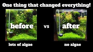 I GOT RID OF ALGAE AFTER I DID THIS ONE THING! 