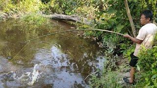 SAMBARAN IKAN MONSTER YANG BIKIN JANTUNG DEG-DEG SER..