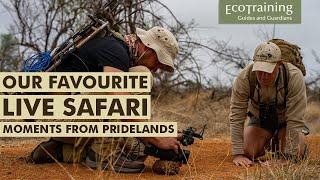 Our favourite moments with WildEarth | EcoTraining Highlights