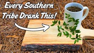 Native Southern Tribes Discovered This Ancient Caffeinated Drink