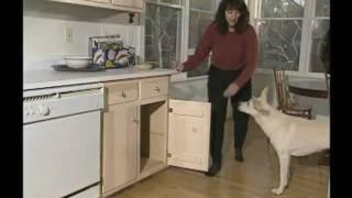 Training a Dog - Close Door Training