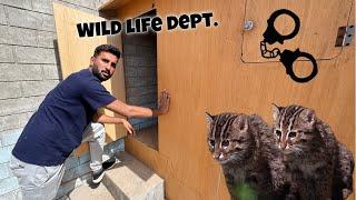 Hmary New Animals ko Wild Life Waly Le Gaiy