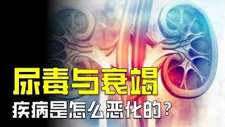 尿毒癥到底是怎麽惡化的，為何說它是最終階段？【颀思诺想】