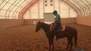 David Salter Riding Test 1