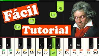 PARA ELISA en Piano  FACIL | Tutorial con Notas | Cómo Tocar Fur Elise en Teclado ( Beethoven )