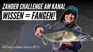 KANAL ZANDER im Winter - diese Tipps solltest du beachten