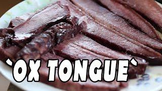 I Ox Tongue I Beefsteak Fungus I Lengua de Buey  I Leberpilz I Fistulina Hepatica I