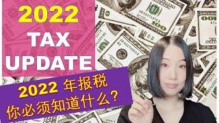 加拿大：加拿大2022年税法更新事项 （2022 New Tax Update) |  加拿大2022年报税 | 新税法该知道的你都知道了吗？？？| 婷婷谈钱 I'm Tingting