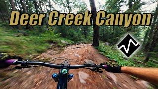 SCARIEST CRASH YET // Deer Creek Canyon // Plymouth Mountain MTB Trail System