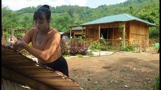 Everyday life builds farms, weeds, and demolishes old, dilapidated bamboo houses