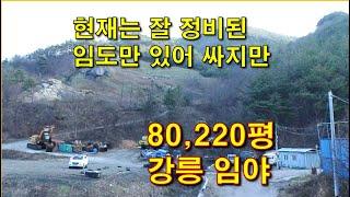 강릉임야 80,220평 지적도상 맹지, 임도 접한 강원도 싼 임야,  시내 10km, 임업용산지, 동해바다 뷰,, 바다낚시