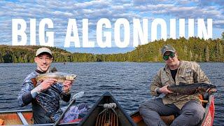 Algonquin Park, Canoe Camping & Fishing Brook Trout ft. Joe Robinet