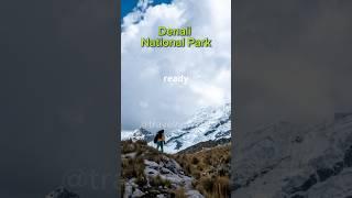 2️⃣0️⃣Denali National Park: Discover Alaska’s Wilderness ️ | #Shorts