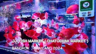 [4K HDR] JJ ( Chatuchak ) Fish Market on Wednesday , Before The Fire|Bangkok,Thailand