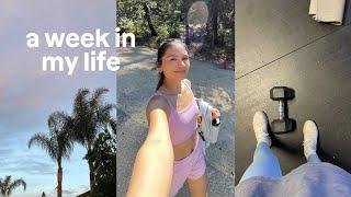 week in my life  productive week, workouts, new style haul