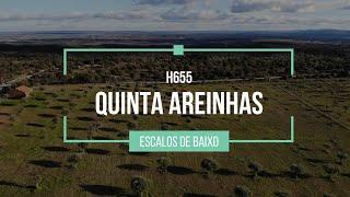 ️ 3,5 hectare farm with olive production, borehole, 2 buildings - Quinta Areinhas H655 - € 87,000