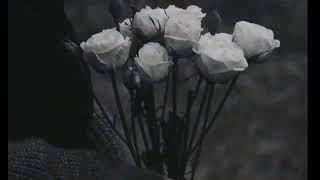 sevgi haqida sherlar