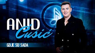 ANID CUSIC & BUCOLICI BAND - GDJE SU SADA (COVER 2024)