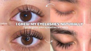 Tips to GROW YOUR EYELASHES NATURALLY for teenagers