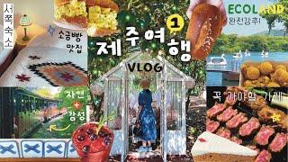  제주도 여행 브이로그 #1 / 캠핑감성 홀라인 협재 서쪽 숙소추천, 에코랜드 (숲속 힐링 데이트), 블루리본 카페 구좌상회, 몽탄 제주점, 소금빵맛집 김녕빵집, 종종제주 소품샵