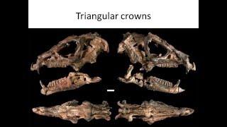 Ornithischia