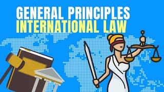 General Principles of Law Sources of International Law Explained