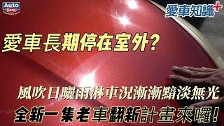 《愛車知識+ EP10 》愛車漆面太陽紋，真的能靠手動拋除嗎?｜T-cut美容拋光劑