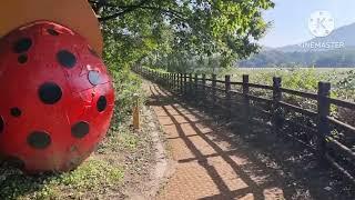 포천 고모리호수공원 가볍게 산책해요