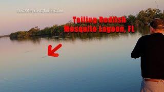 Sight Fishing Redfish in  Mosquito Lagoon - Redfish Charters near Orlando