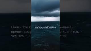 МУДРОСТЬ ВОСТОКА #мудрость_жизни #исцеляющиемедитации