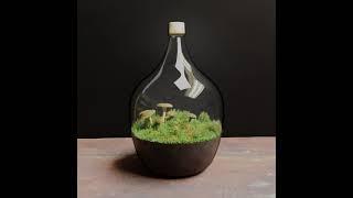 Houdini Terrarium