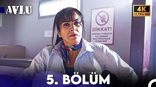 Avlu 5. Bölüm (4K)