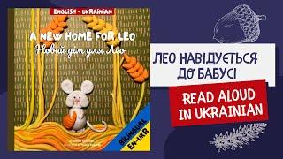 Bilingual Ukrainian Children's Book | A New Home for Leo | Children's Book in Ukrainian Language