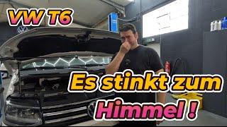 Bis die Augen brennen! Ist das AGR Schuld ? Massive Undichtigkeit am VW T6 Motor