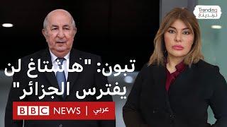 تبون: "لا يمكن افتراس الجزائر عبر هاشتاغ" ردا على حملة "مارانيش راضي"