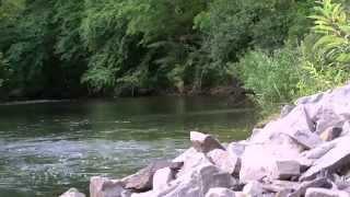 Fly Fishing the Quemahoning Tailwater Project