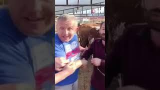 Kol kıran pazarlık!
